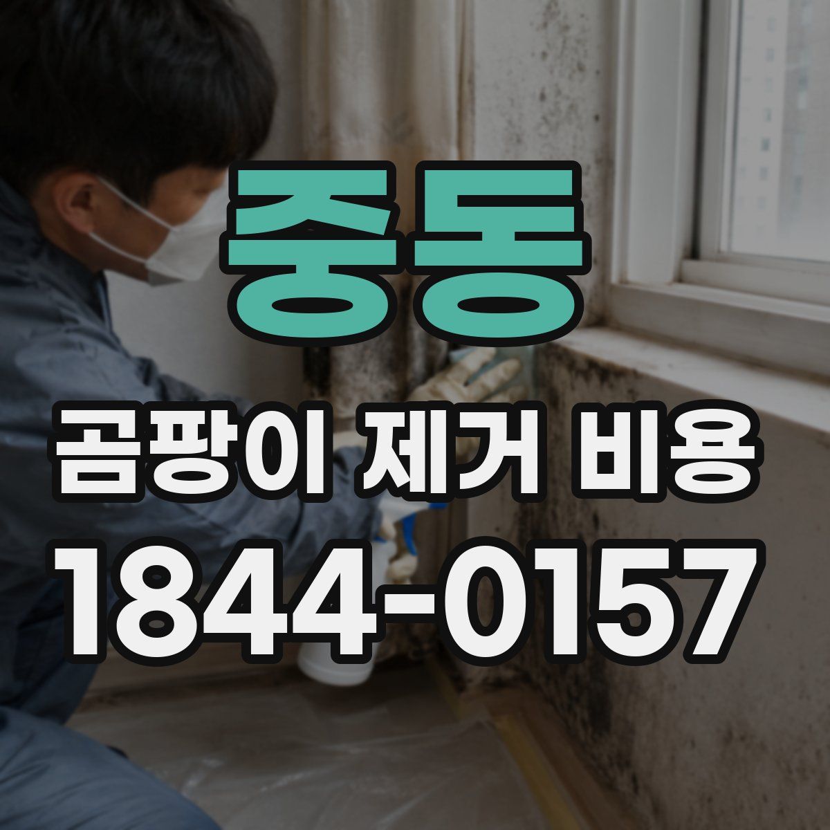 중동 곰팡이 제거 비용