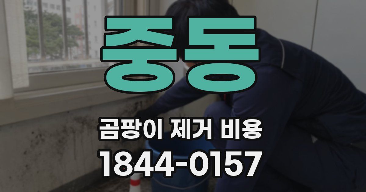 중동 곰팡이 제거 비용