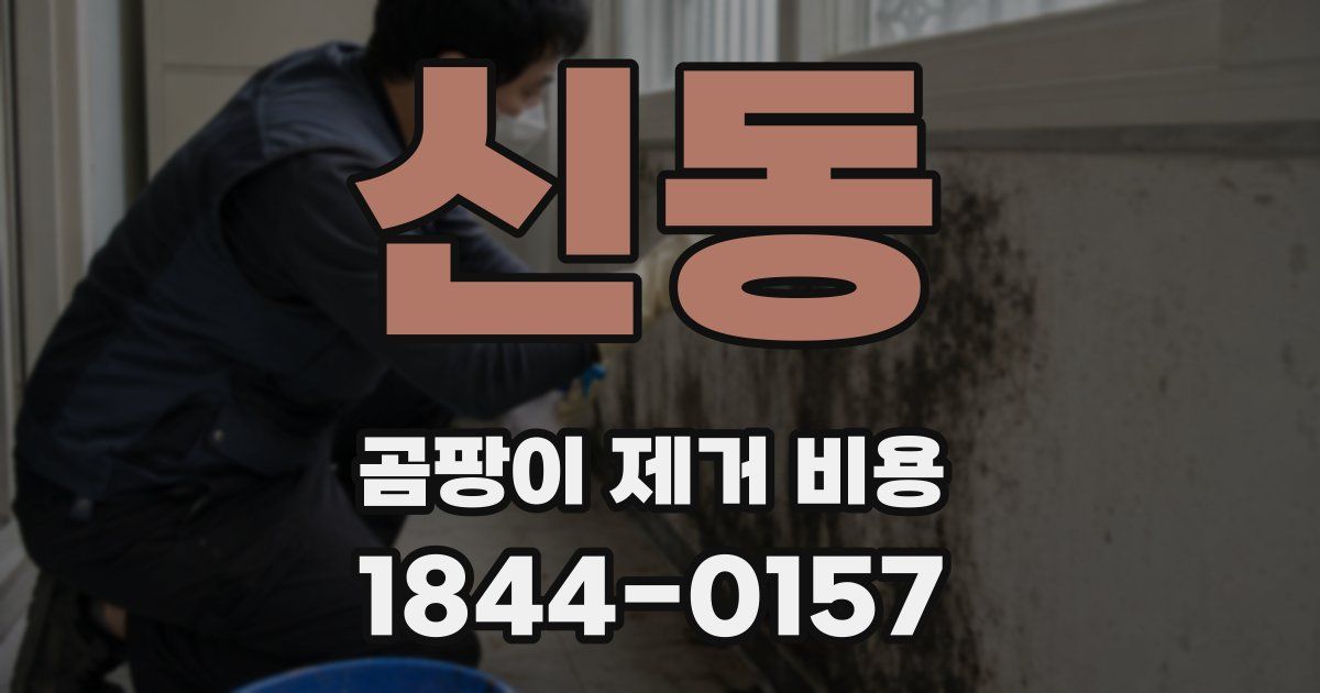 신동 곰팡이 제거 비용