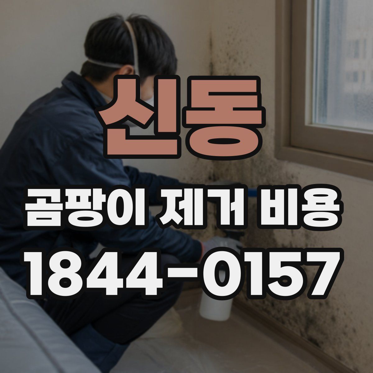 신동 곰팡이 제거 비용
