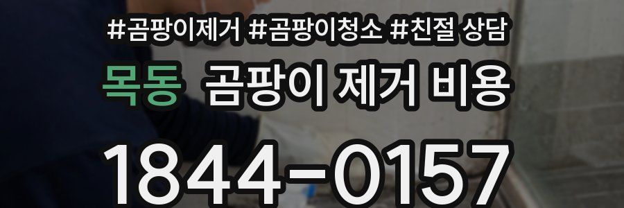 목동 곰팡이 제거 비용