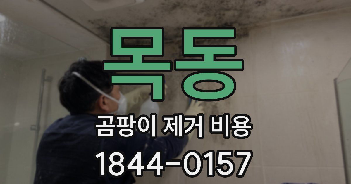 목동 곰팡이 제거 비용