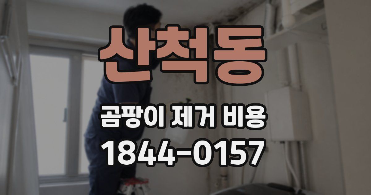 산척동 곰팡이 제거 비용