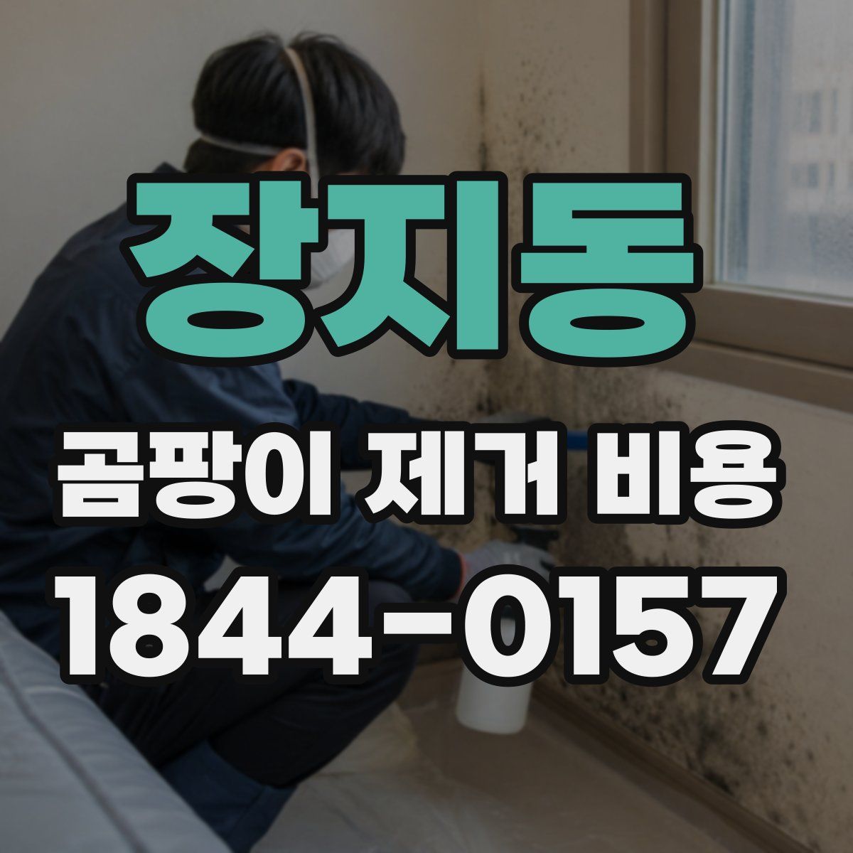 장지동 곰팡이 제거 비용