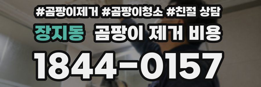 장지동 곰팡이 제거 비용