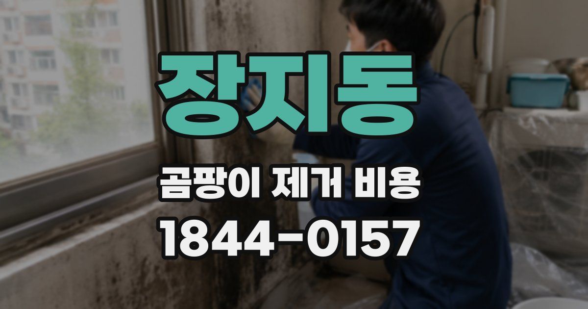 장지동 곰팡이 제거 비용