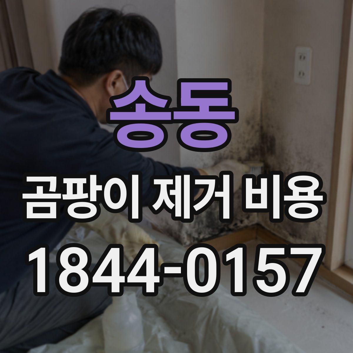 송동 곰팡이 제거 비용 상담 시 꼭 전할 정보