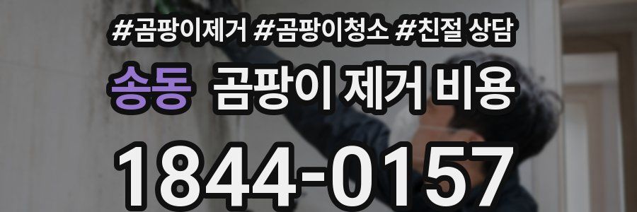 송동 곰팡이 제거 비용