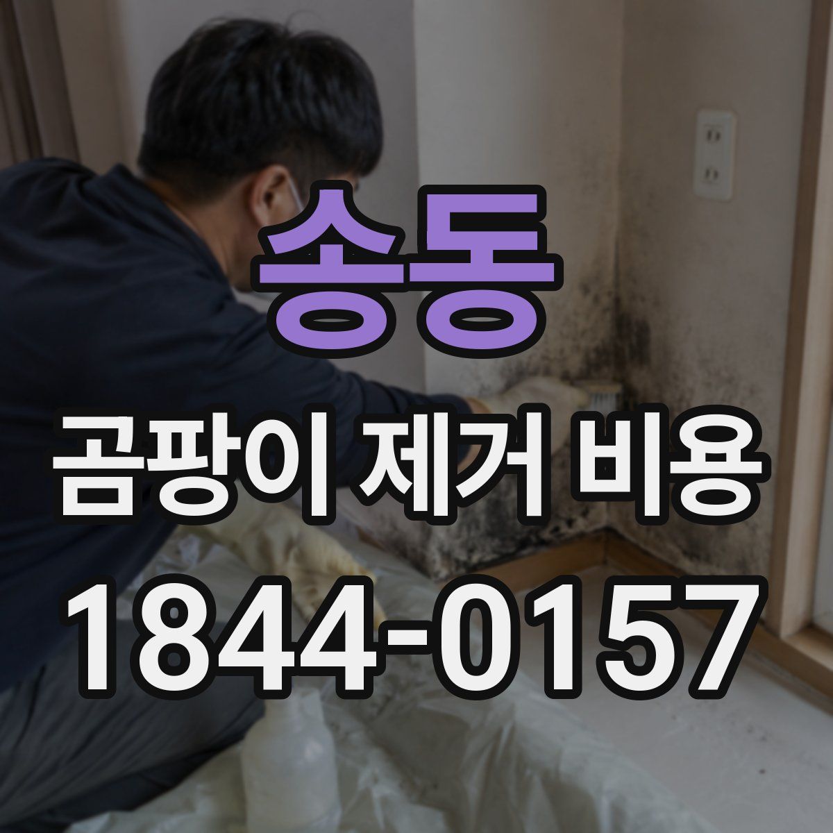 송동 곰팡이 제거 비용