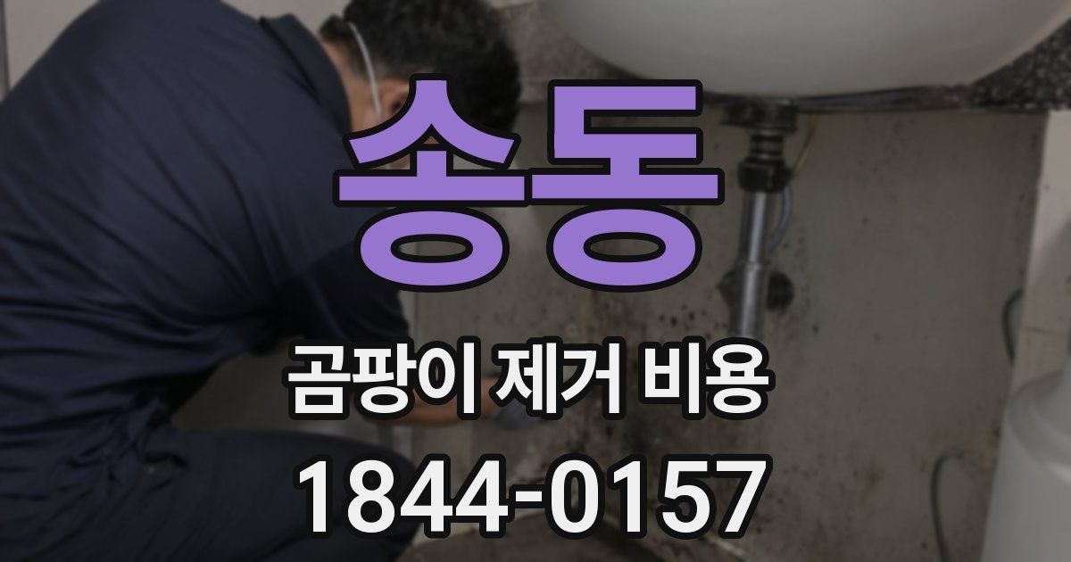 송동 곰팡이 제거 비용