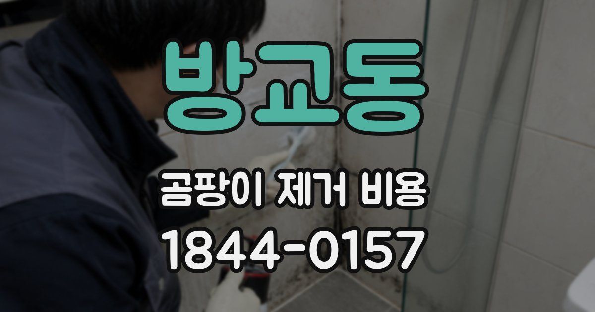 방교동 곰팡이 제거 비용