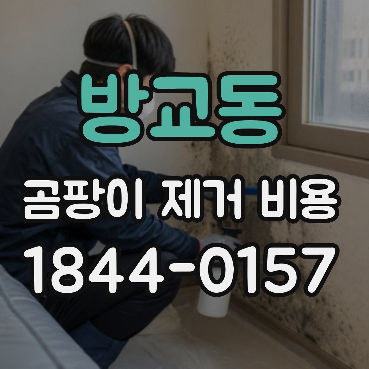 방교동 곰팡이 제거 비용