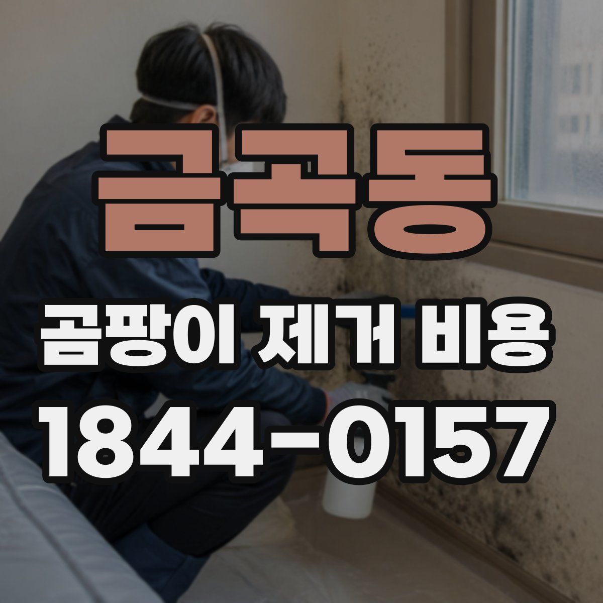 금곡동 곰팡이 제거 비용