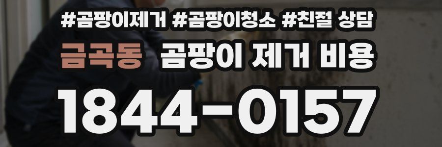 금곡동 곰팡이 제거 비용