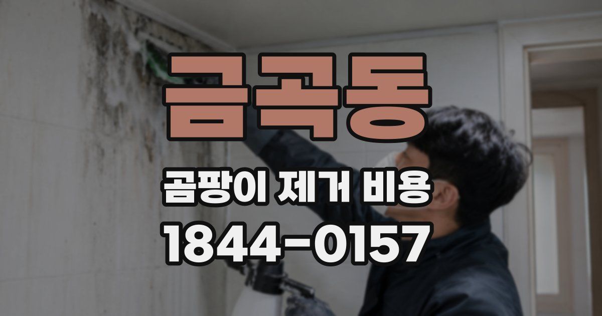 금곡동 곰팡이 제거 비용