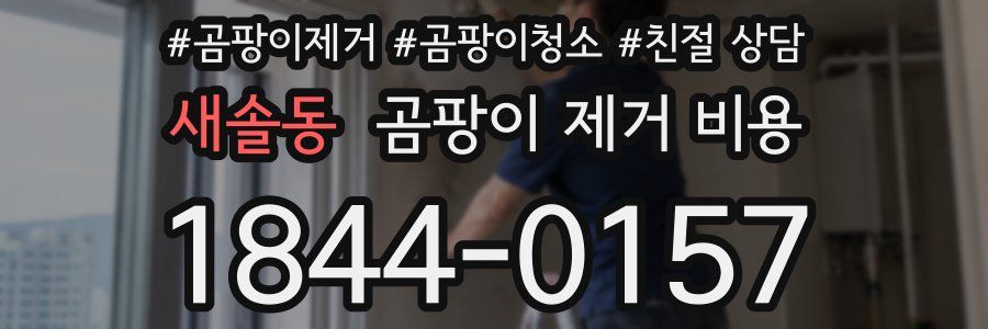 새솔동 곰팡이 제거 비용