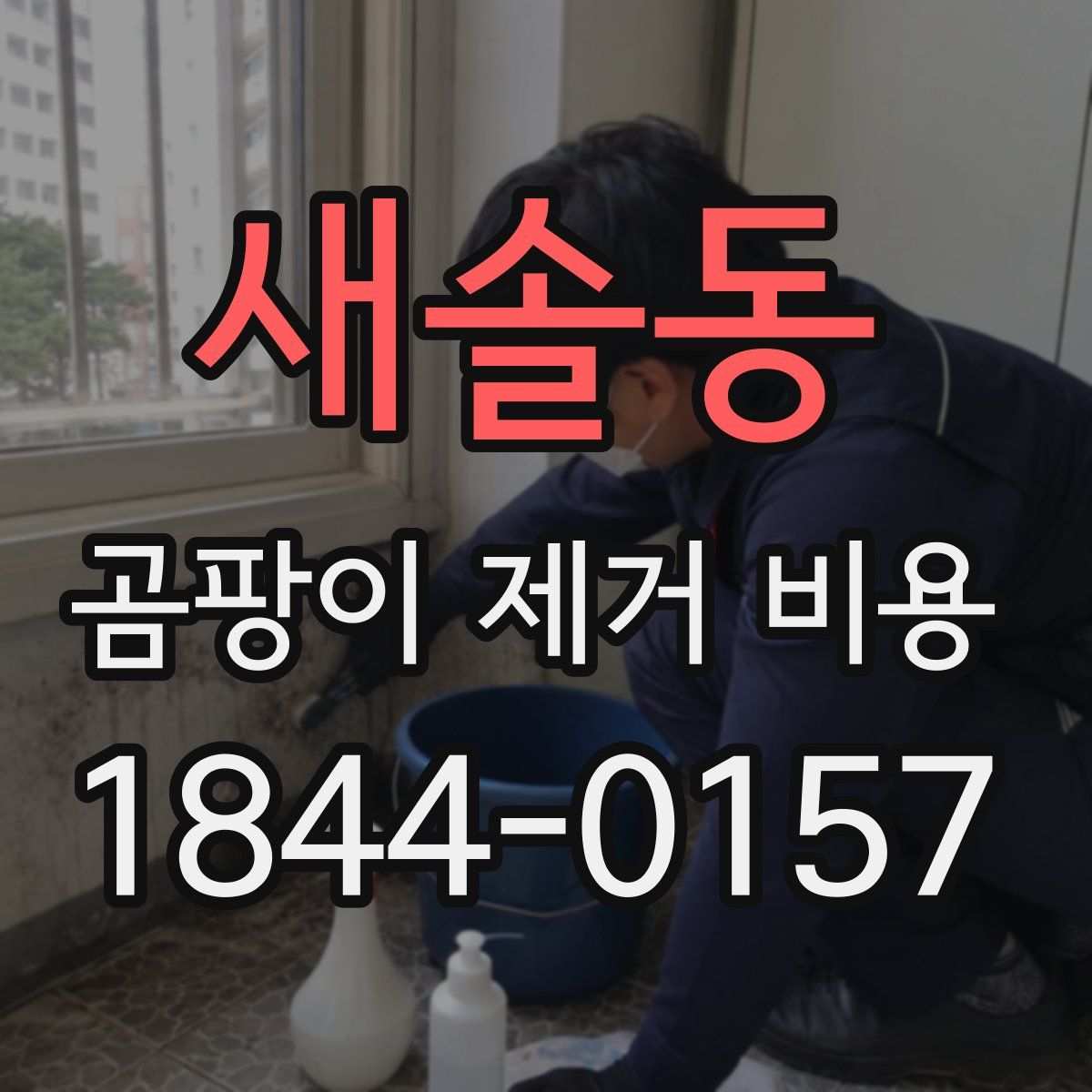 새솔동 곰팡이 제거 비용