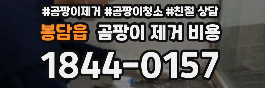 봉담읍 곰팡이 제거 비용