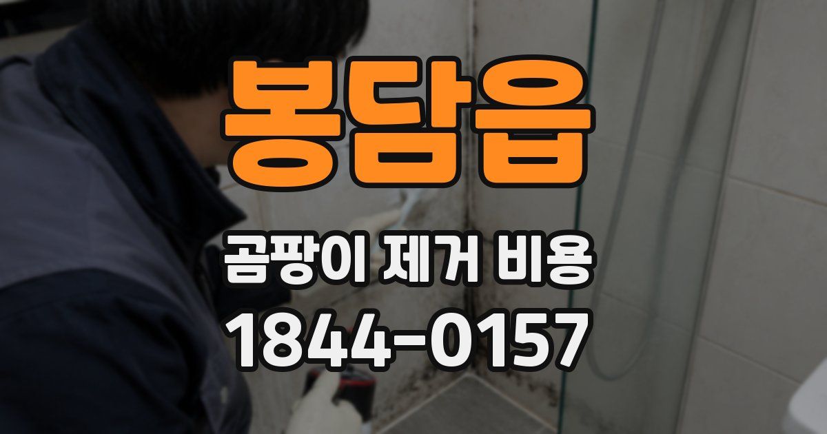 봉담읍 곰팡이 제거 비용