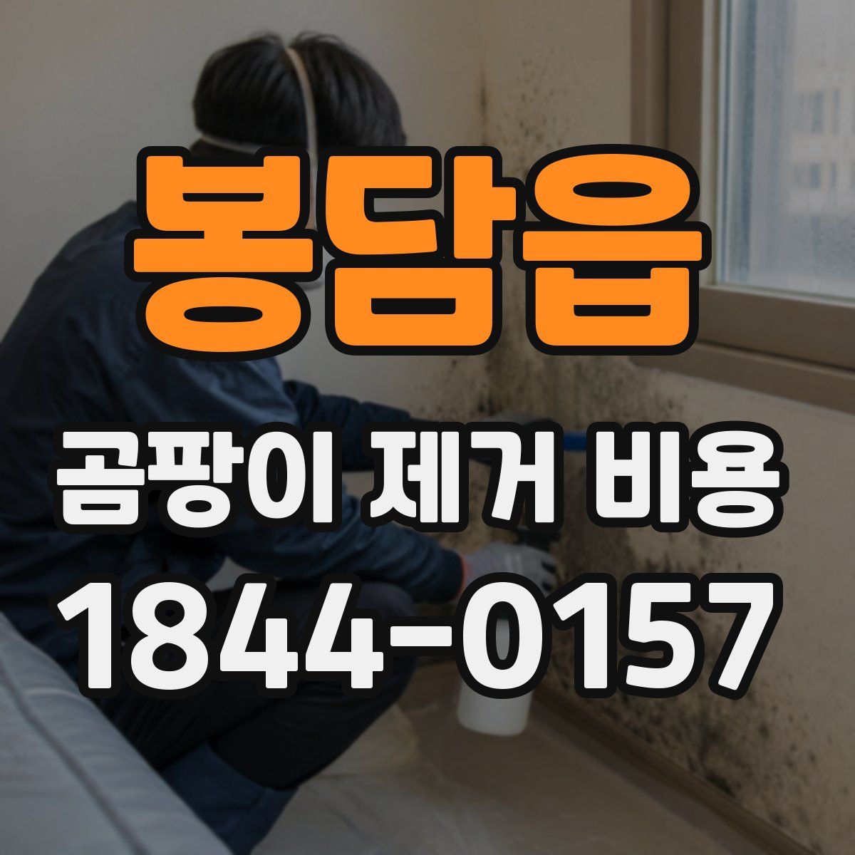 봉담읍 곰팡이 제거 비용