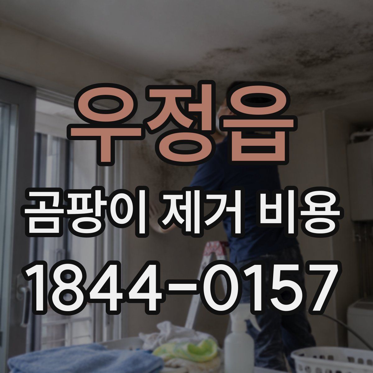 우정읍 곰팡이 제거 비용