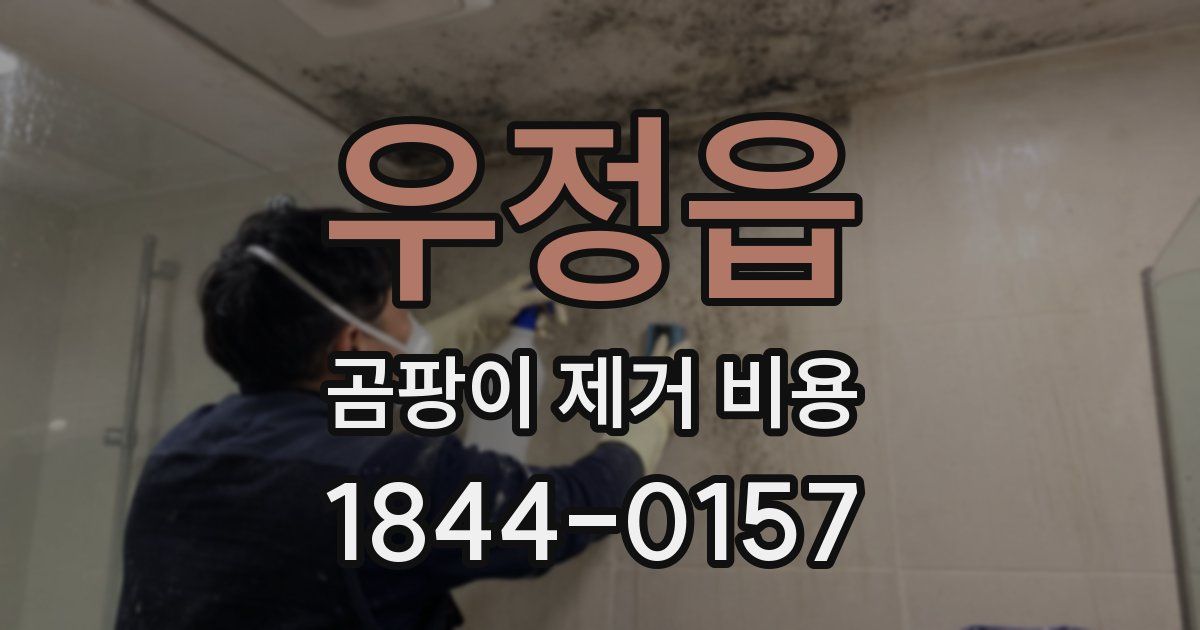 우정읍 곰팡이 제거 비용