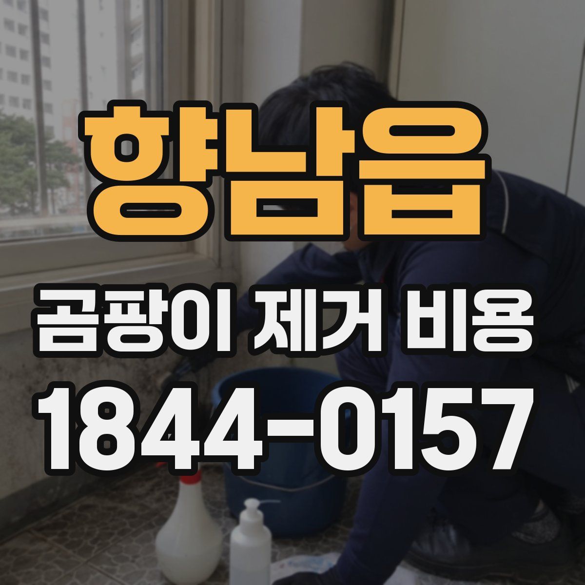 향남읍 곰팡이 제거 비용