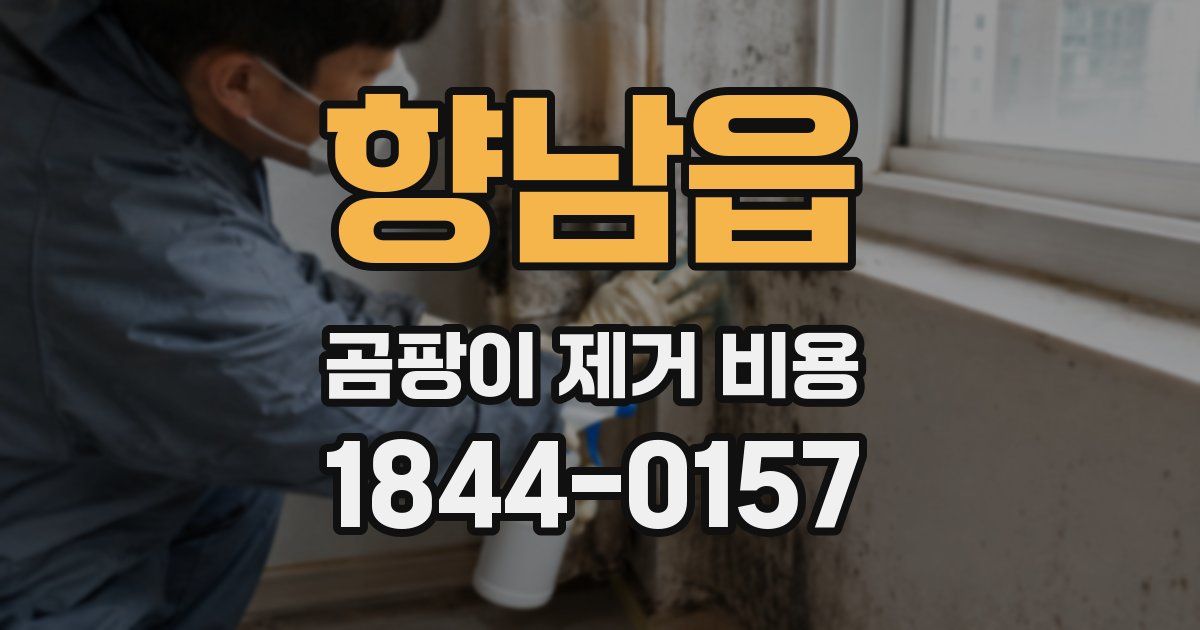 향남읍 곰팡이 제거 비용