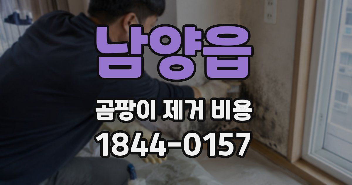 남양읍 곰팡이 제거 비용