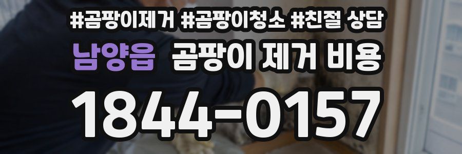 남양읍 곰팡이 제거 비용