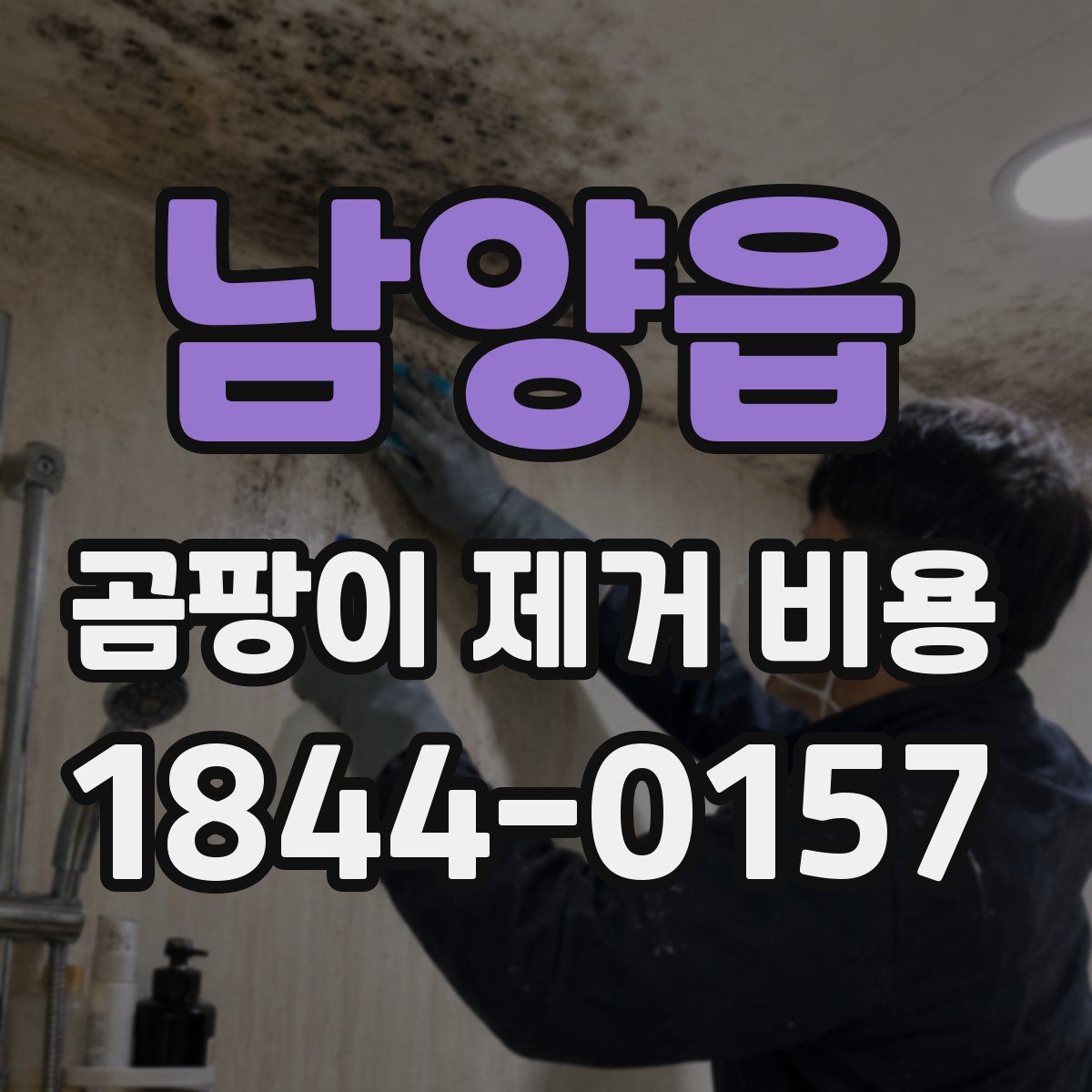 남양읍 곰팡이 제거 비용