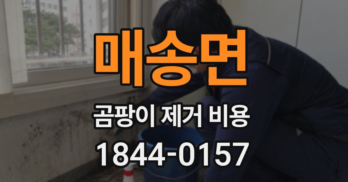 매송면 곰팡이 제거 비용