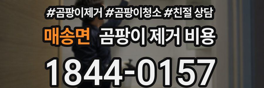매송면 곰팡이 제거 비용