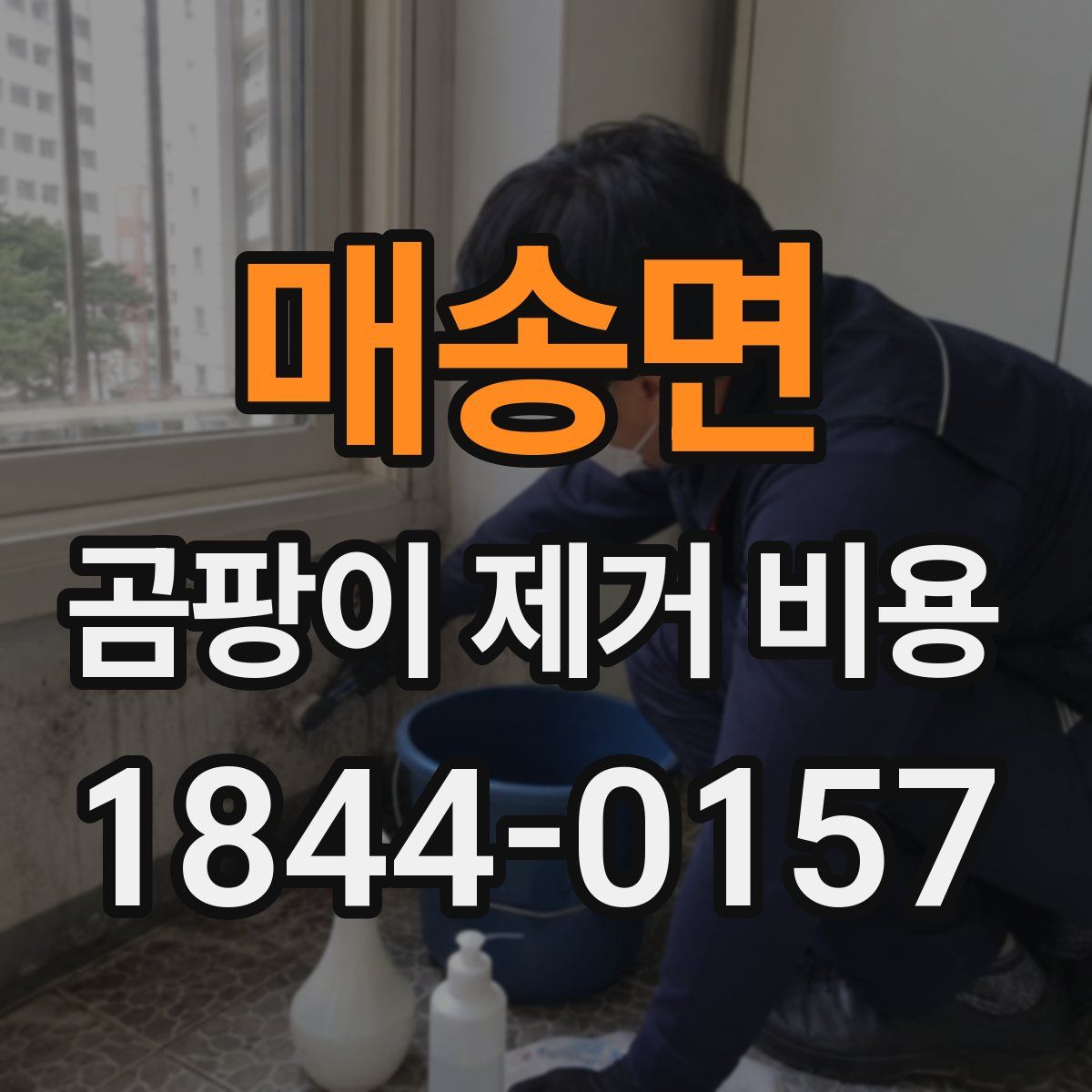 매송면 곰팡이 제거 비용