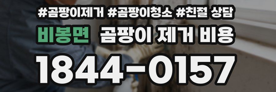 비봉면 곰팡이 제거 비용