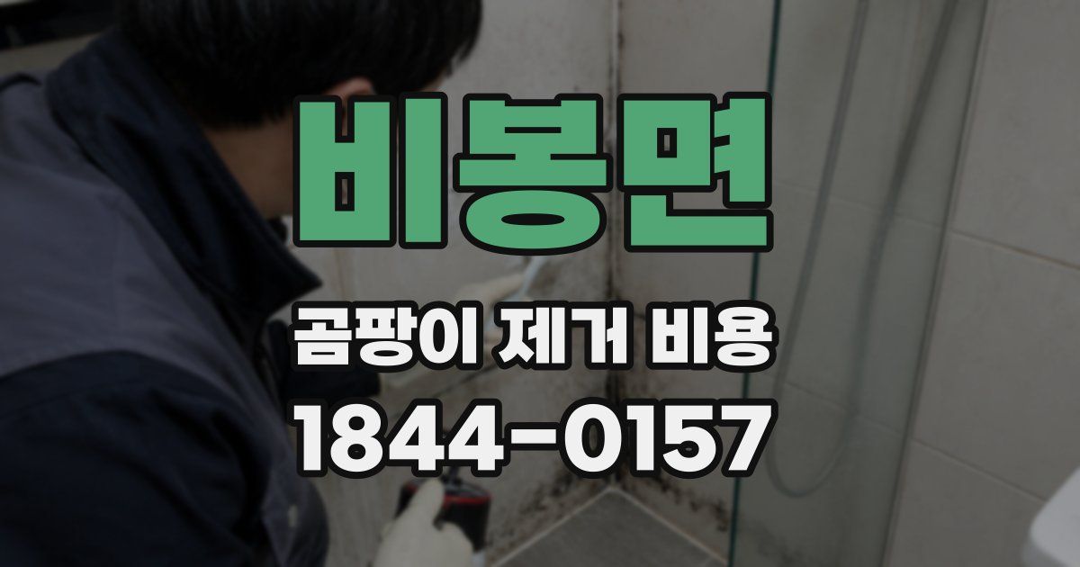 비봉면 곰팡이 제거 비용