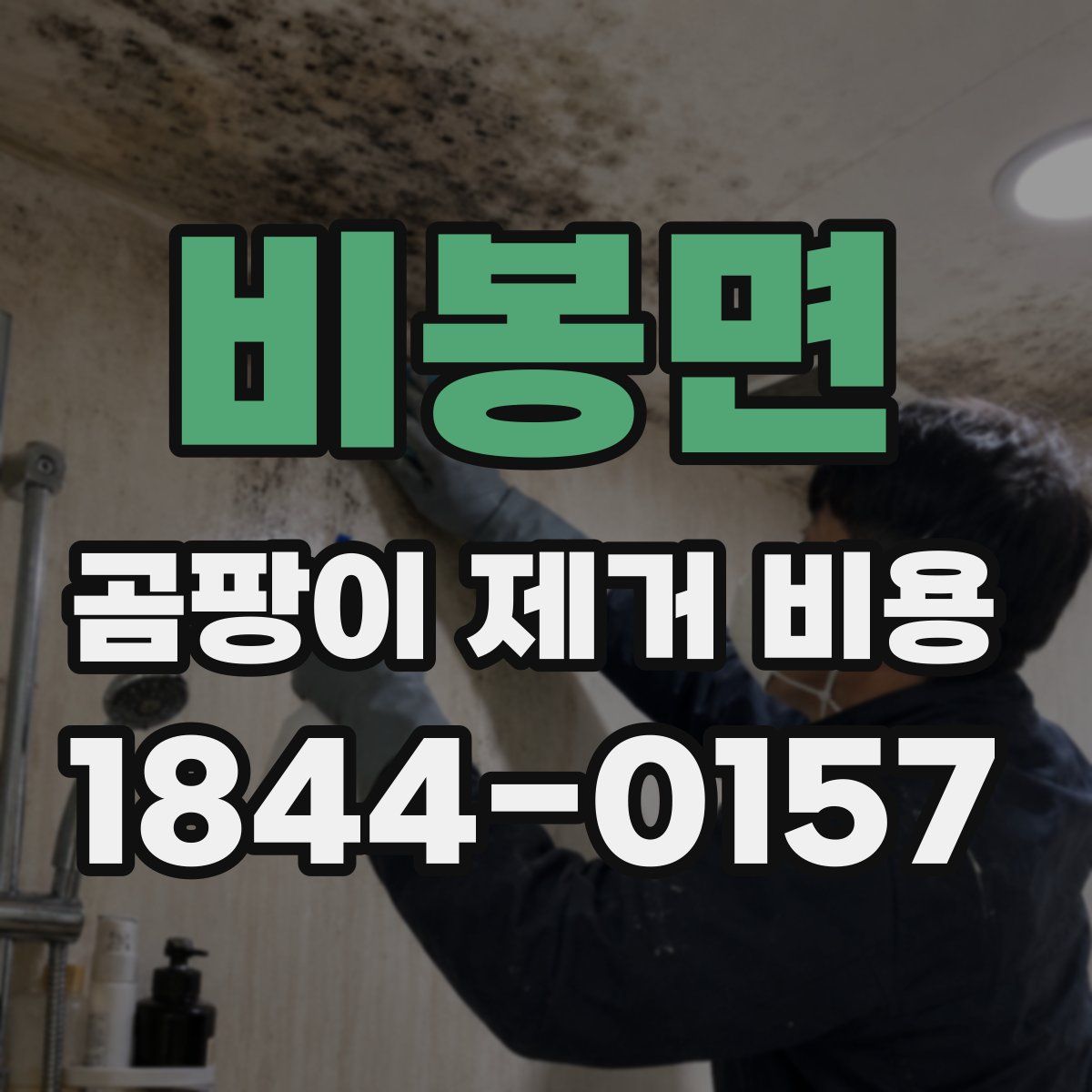 비봉면 곰팡이 제거 비용