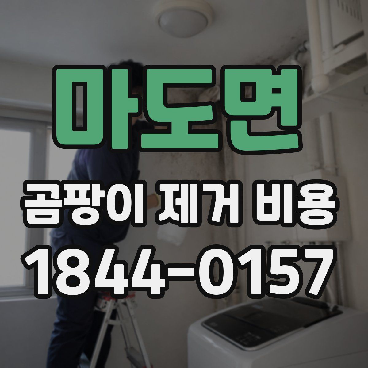 마도면 곰팡이 제거 비용