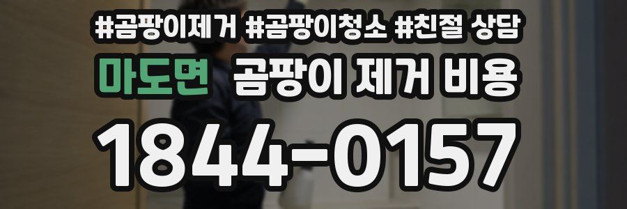 마도면 곰팡이 제거 비용