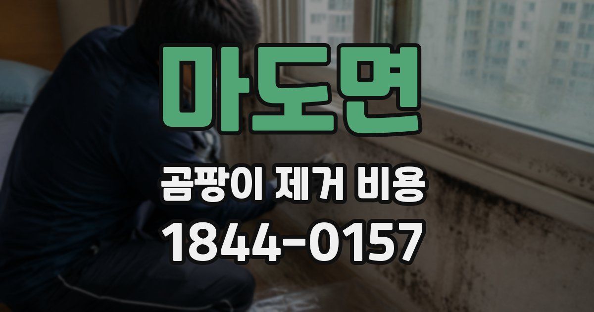 마도면 곰팡이 제거 비용