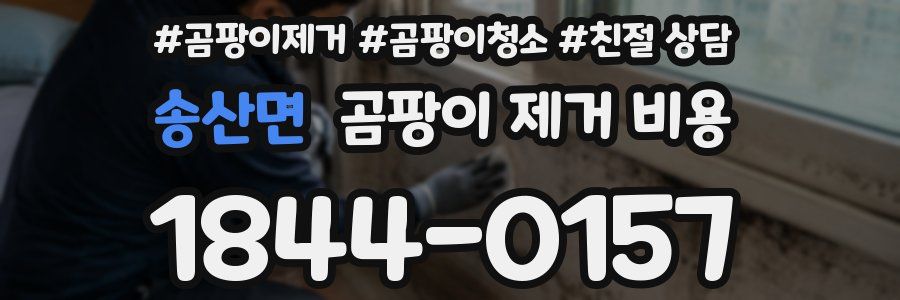 송산면 곰팡이 제거 비용