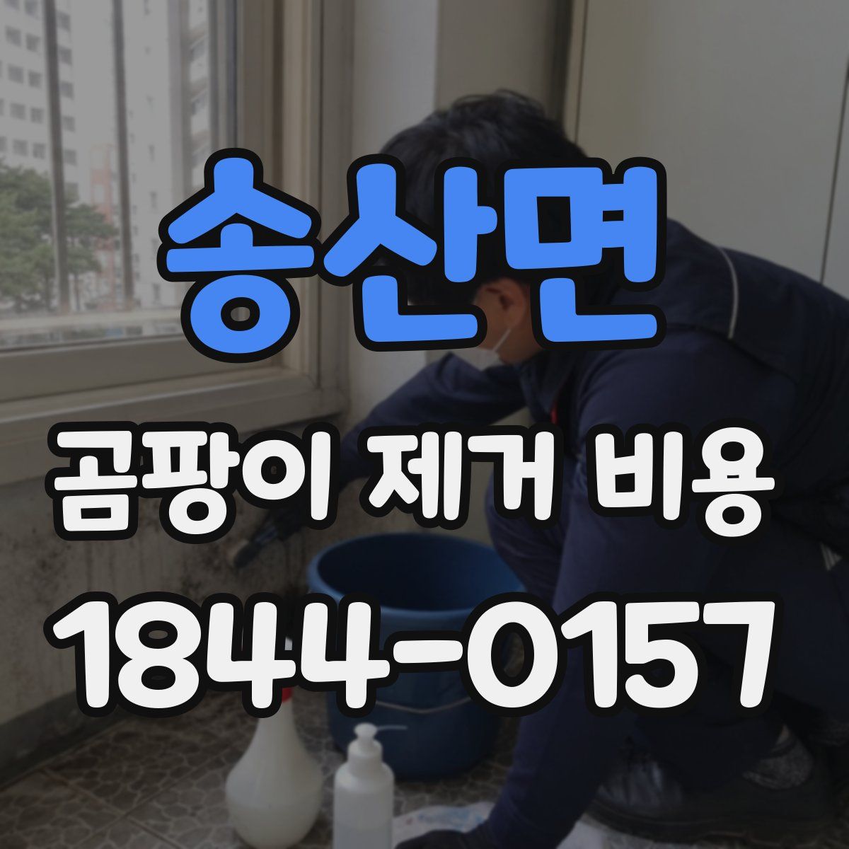 송산면 곰팡이 제거 비용