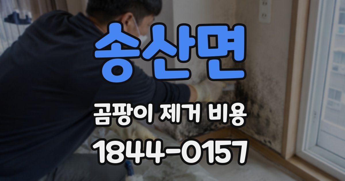 송산면 곰팡이 제거 비용