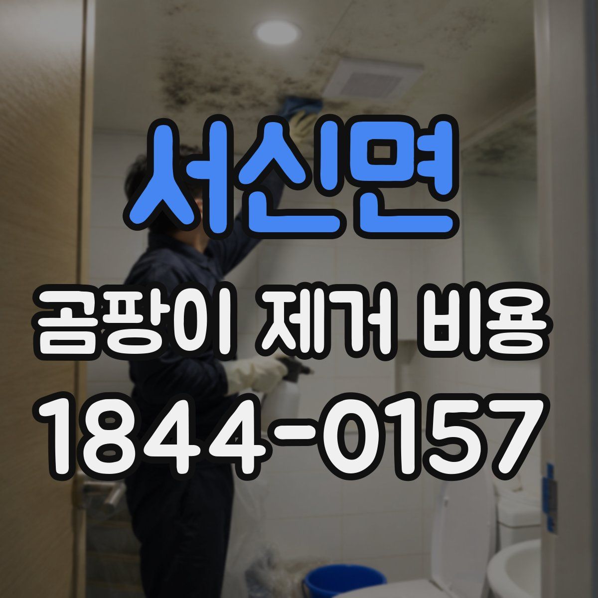 서신면 곰팡이 제거 비용