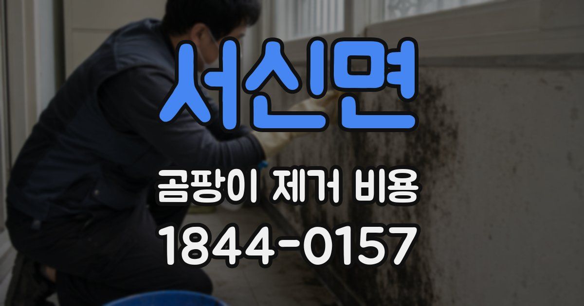 서신면 곰팡이 제거 비용