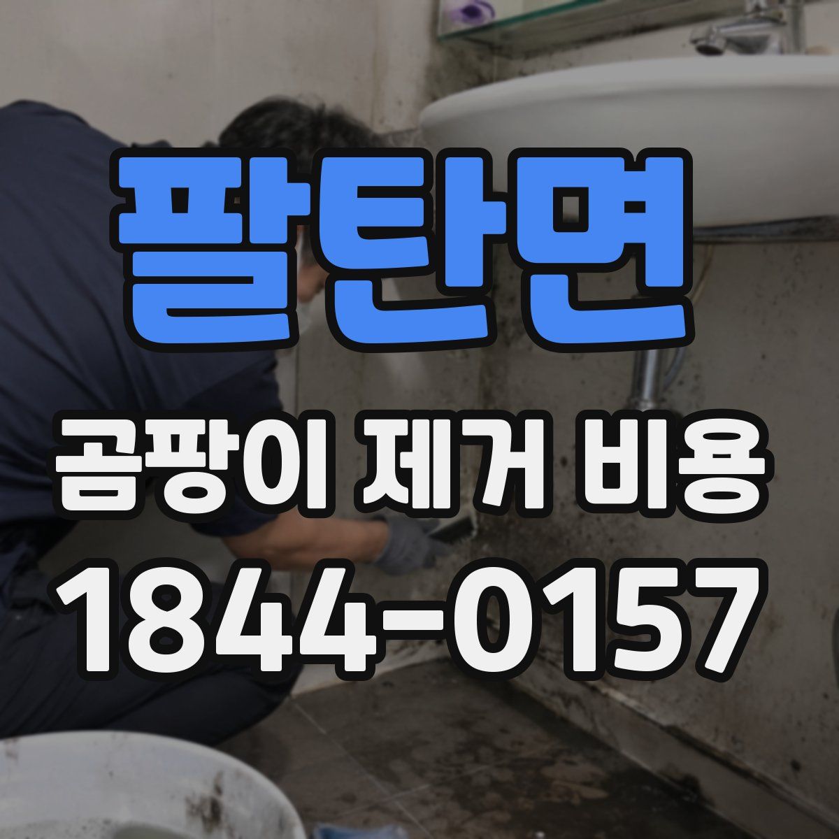 팔탄면 곰팡이 제거 비용