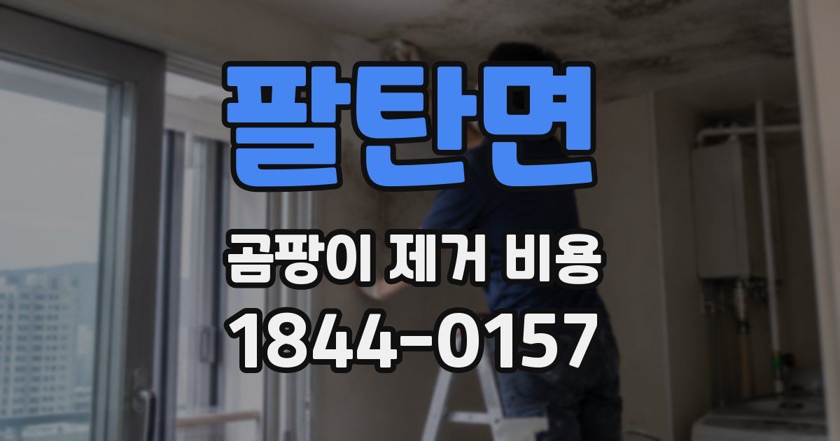 팔탄면 곰팡이 제거 비용