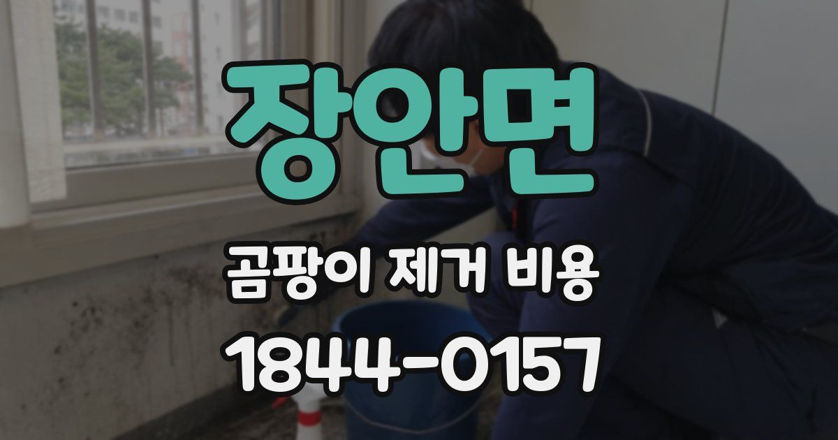 장안면 곰팡이 제거 비용