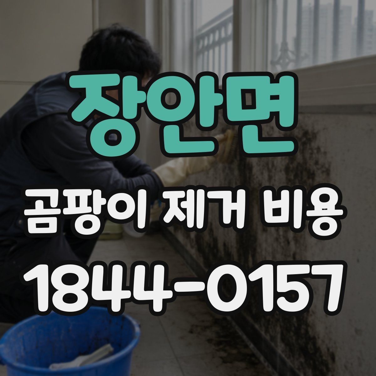 장안면 곰팡이 제거 비용