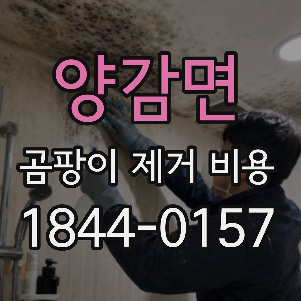 양감면 곰팡이 제거 비용 천연 자재와 약품 처리의 차이